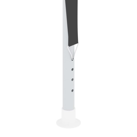  Namiot imprezowy ze ściankami, 2x2 m, antracyt, 90 g/m² Lumarko!