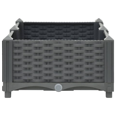  Donica do podniesionej rabaty, 80x40x23 cm, polipropylen Lumarko!