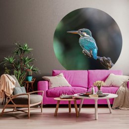  Okrągła fototapeta The Kingfisher, 142,5 cm Lumarko!