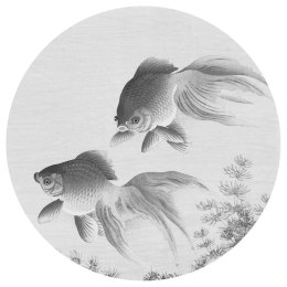 Lumarko Okrągła fototapeta Two Goldfish, 142,5 cm