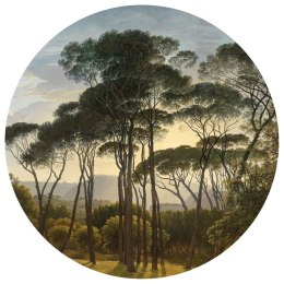Lumarko Okrągła fototapeta Umbrella Pines in Italy, 190 cm