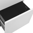  Mobilna szafka kartotekowa, jasnoszara, 39x45x67 cm, stalowa Lumarko!