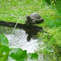  Fontanna ogrodowa w kształcie żółwia Lumarko!