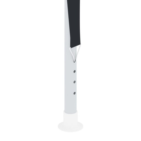  Profesjonalny namiot imprezowy, 2x2 m, antracytowy Lumarko!