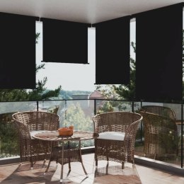  Markiza boczna na balkon, 117 x 250 cm, czarna Lumarko!