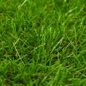  Sztuczny trawnik, 1x10 m; 30 mm, zielony Lumarko!