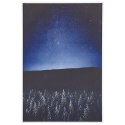  Obraz na płótnie w ramie nocny krajobraz 63 x 93 cm niebiesko-czarny LORETO Lumarko!