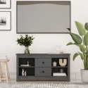  Szafka pod telewizor, szara, 103x36,5x52 cm, drewno sosnowe Lumarko!