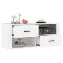  Szafka pod TV, biała, 100x35x40 cm, materiał drewnopochodny Lumarko!