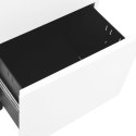 Mobilna szafka kartotekowa, biała, 39x45x67 cm, stalowa Lumarko!
