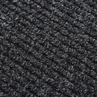 Dywanik pochłaniający zabrudzenia, 100x450 cm, antracytowy Lumarko!