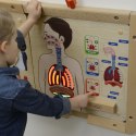 MASTERKIDZ Tablica Edukacyjna Układ Oddechowy Montessori Lumarko!