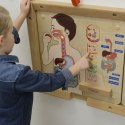 MASTERKIDZ Tablica Edukacyjna Układ Trawienny Montessori Lumarko!