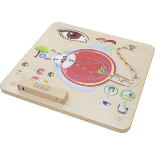 Tablica Edukacyjna Zmysł Wzroku Montessori Lumarko!