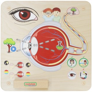 MASTERKIDZ Tablica Edukacyjna Zmysł Wzroku Montessori Lumarko!