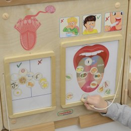Tablica Edukacyjna Zmysł Wzroku Montessori Lumarko!