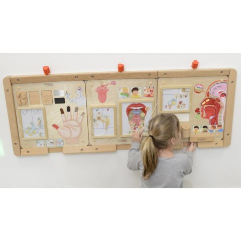 MASTERKIDZ Tablica Edukacyjna Zmysł Wzroku Montessori Lumarko!