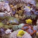 Tapeta Coral and Tropical Fish, żółto-fioletowa Lumarko