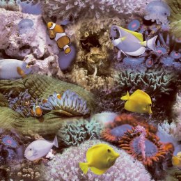 Tapeta Coral and Tropical Fish, żółto-fioletowa Lumarko