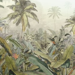 Fototapeta Amazonia, 368 x 248 cm Lumarko