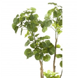 Sztuczne drzewko polyscias, 135 cm, 420292 Lumarko