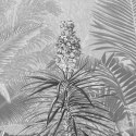 Fototapeta Amazonia, czarno-biała, 400x250 cm Lumarko