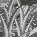 Fototapeta Amazonia, czarno-biała, 400x250 cm Lumarko