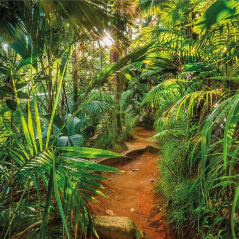 Fototapeta Jungle Trail, 368 x 254 cm Lumarko