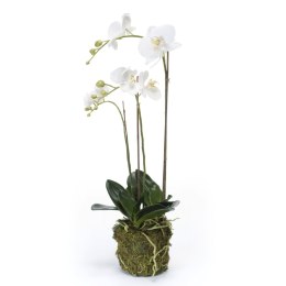 Sztuczny storczyk falenopsis, 70 cm, biały Lumarko