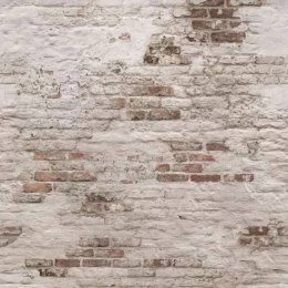 Fototapeta Old Brick Wall, beżowo-brązowa Lumarko