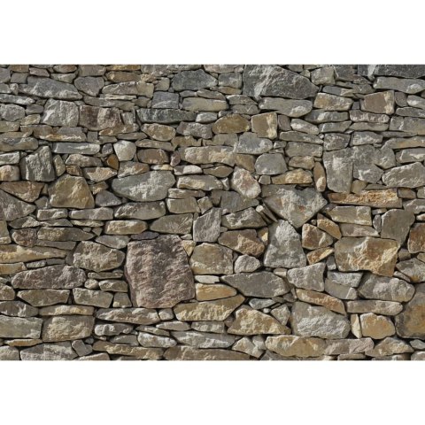 Fototapeta Stone Wall, 368 x 254 cm, 8-727 Lumarko