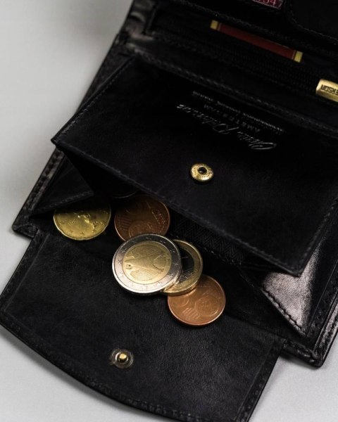 Duży portfel męski bez zapięcia — Peterson Lumarko!