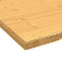 Blat do biurka, 100x60x2,5 cm, bambusowy Lumarko!
