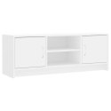 VidaXL Szafka pod TV, biała, 102x30x37,5 cm, materiał drewnopochodny