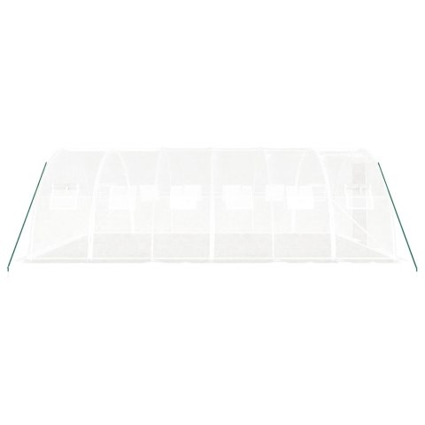 VidaXL Szklarnia ze stalową ramą, biała, 24 m², 6x4x2 m