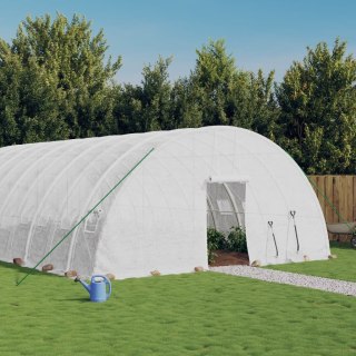 Szklarnia ze stalową ramą, biała, 48 m², 8x6x2,85 m Lumarko!
