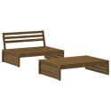 VidaXL 2-cz. zestaw wypoczynkowy do ogrodu, poduszki, miodowy, drewno
