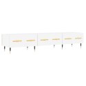 Szafka pod TV, biała, 150x36x30 cm, materiał drewnopochodny Lumarko!