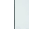 VidaXL Panel kominkowy, szklany, prostokątny, 100x60 cm