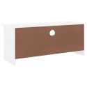 Szafka pod TV z szufladami ALTA, biała, 100x35x41 cm, sosna Lumarko!