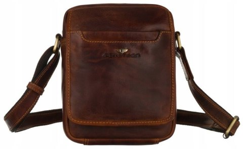 Skórzana listonoszka męska na ramię — Peterson Lumarko!