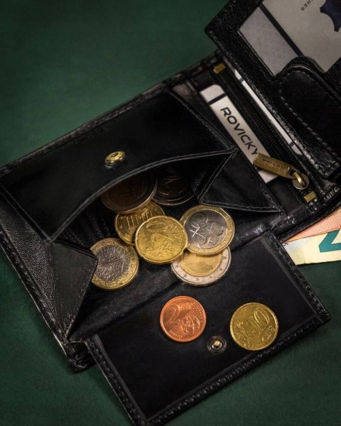 Elegancki, skórzany portfel męski bez zapięcia zewnętrznego — Rovicky Lumarko!