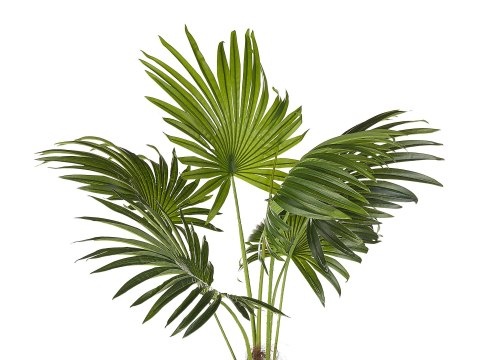 Sztuczna roślina doniczkowa 100 cm FAN PALM