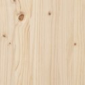 Donica ogrodowa na nóżkach, 101x50x57 cm, lite drewno sosnowe Lumarko!