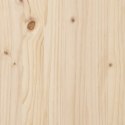 Donica ogrodowa na nóżkach, 121x50x57 cm, lite drewno sosnowe Lumarko!