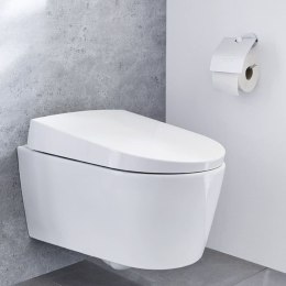 Uchwyt na papier toaletowy z klapką Apollo, aluminiowy Lumarko!