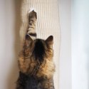 Worek wspinaczkowy dla kota, sizalowy, 180 cm Lumarko!