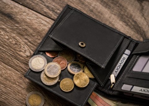 Duży, skórzany portfel męski — Always Wild Lumarko!