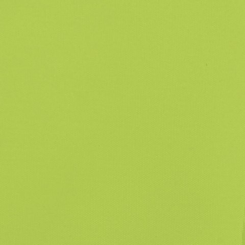 Przyczepka rowerowa, czarno-zielona, 30 kg, żelazo Lumarko!