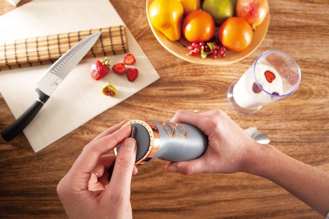 BLENDER RĘCZNY BERLINGER HAUS BH-9045 MOONLIGHT Lumarko!